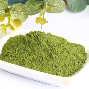 High Quality Pure Natural Green wakame powder Wakame Extract